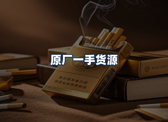 专业团队办公环境